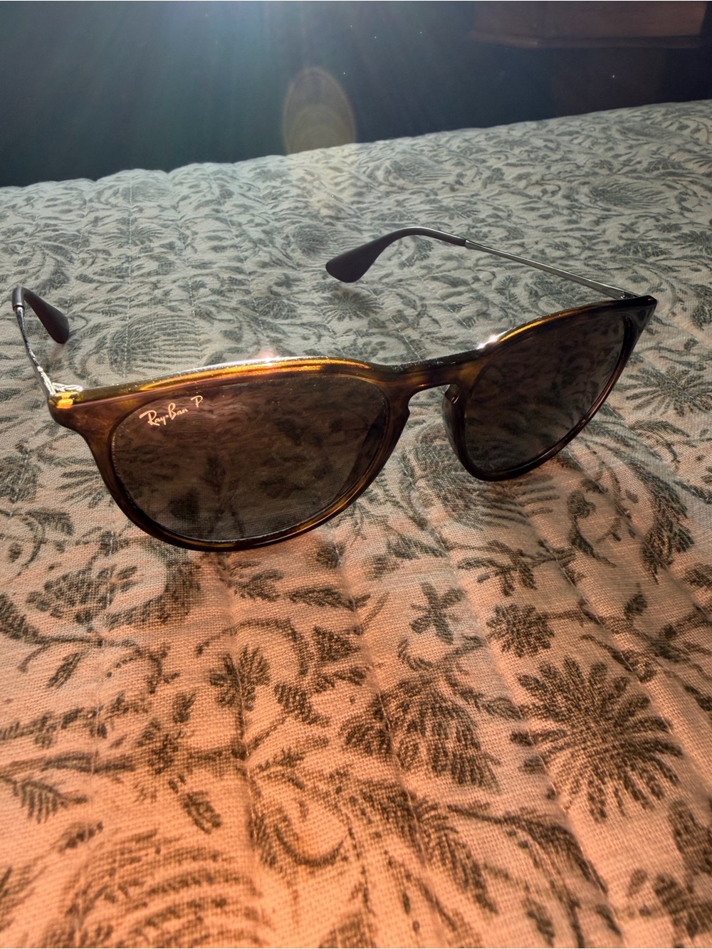 Ray-Ban Polarized Erika Sunglasses Brown Lenses